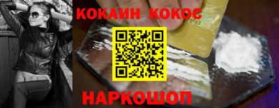 крисы Кулебаки