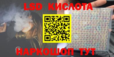 крисы Кулебаки