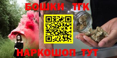 крисы Кулебаки