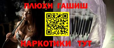 крисы Кулебаки
