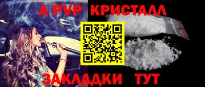 крисы Кулебаки