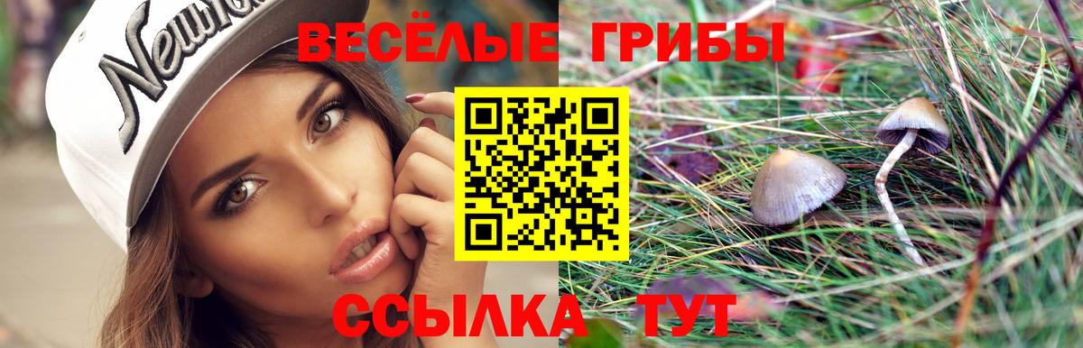 Галлюциногенные грибы GOLDEN TEACHER  Галлюциногенные грибы ЛСД  купить   Вход с VPN  Ивантеевка 