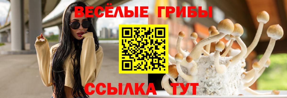 Галлюциногенные грибы Psilocybe Ивантеевка